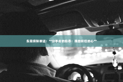 东莞侦探取证：**分手后的动态：挽回前任的心**