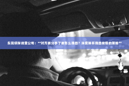 东莞侦探调查公司：**对方要分手了要怎么挽回？深度解析挽回爱情的策略**