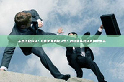 东莞调查取证：成都私家侦探公司：揭秘隐私调查的神秘世界