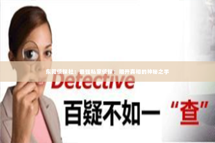 东莞侦探社：最强私家侦探：揭开真相的神秘之手