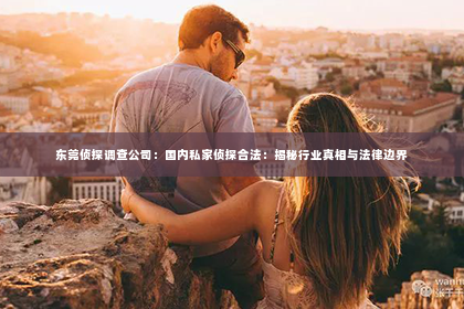 东莞侦探调查公司：国内私家侦探合法：揭秘行业真相与法律边界