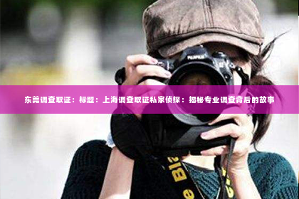 东莞调查取证：标题：上海调查取证私家侦探：揭秘专业调查背后的故事