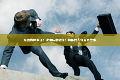 东莞侦探取证：沈阳私家侦探：揭秘找人背后的故事