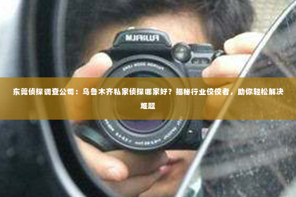 东莞侦探调查公司：乌鲁木齐私家侦探哪家好？揭秘行业佼佼者，助你轻松解决难题