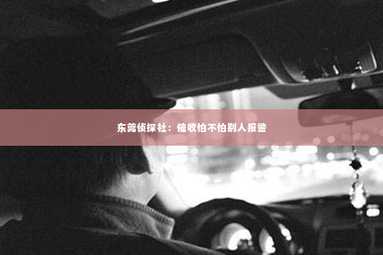 东莞侦探社：催收怕不怕别人报警