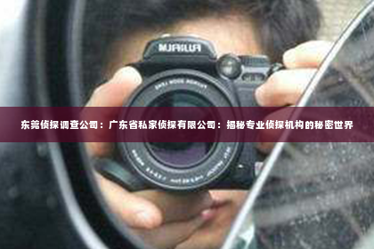 东莞侦探调查公司：广东省私家侦探有限公司：揭秘专业侦探机构的秘密世界