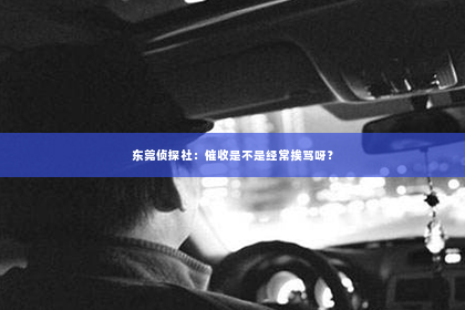 东莞侦探社：催收是不是经常挨骂呀？