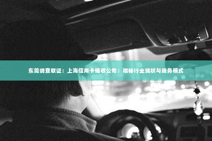东莞调查取证：上海信用卡催收公司：揭秘行业现状与服务模式