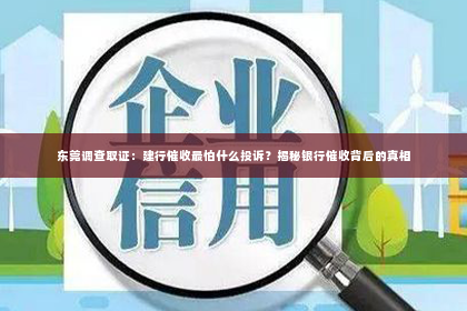 东莞调查取证：建行催收最怕什么投诉？揭秘银行催收背后的真相