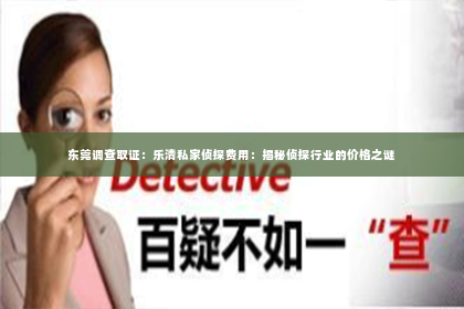 东莞调查取证：乐清私家侦探费用：揭秘侦探行业的价格之谜