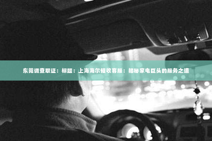 东莞调查取证：标题：上海海尔催收客服：揭秘家电巨头的服务之道