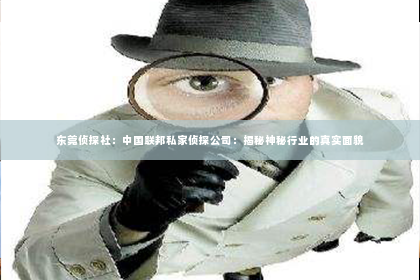 东莞侦探社：中国联邦私家侦探公司：揭秘神秘行业的真实面貌