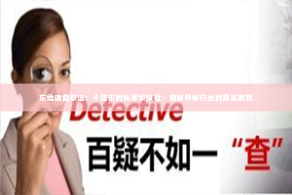 东莞调查取证：十堰市的私家侦探社：揭秘神秘行业的真实面貌