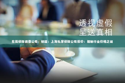 东莞侦探调查公司：标题：上海私家侦探公司报价：揭秘行业价格之谜