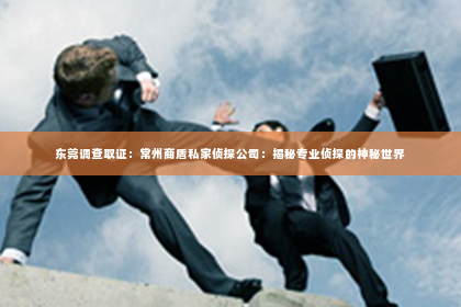 东莞调查取证：常州商盾私家侦探公司：揭秘专业侦探的神秘世界
