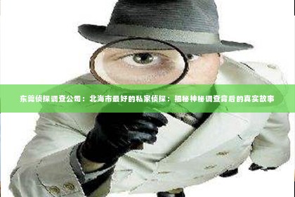 东莞侦探调查公司：北海市最好的私家侦探：揭秘神秘调查背后的真实故事