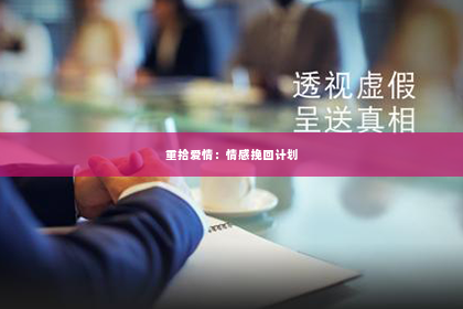 重拾爱情：情感挽回计划