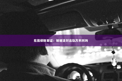 东莞侦探取证：婚姻法对出轨方判刑吗