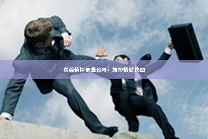 东莞侦探调查公司：如初情感挽回