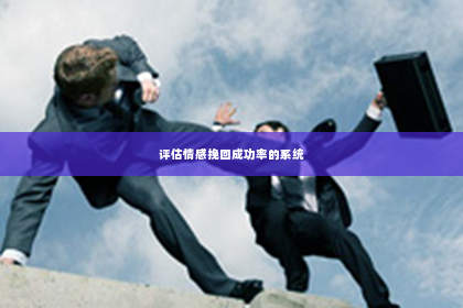 评估情感挽回成功率的系统