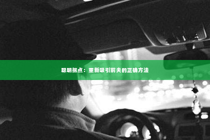 聪明拐点：重新吸引前夫的正确方法