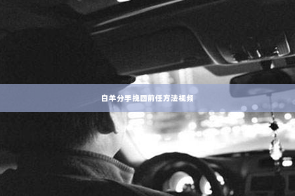 白羊分手挽回前任方法视频