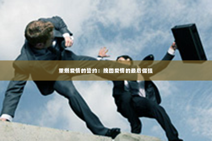 重燃爱情的誓约：挽回爱情的最后倔强