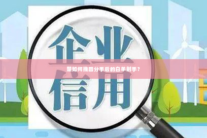楚如何挽回分手后的白羊射手？