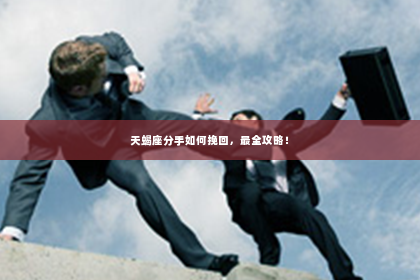 天蝎座分手如何挽回，最全攻略！