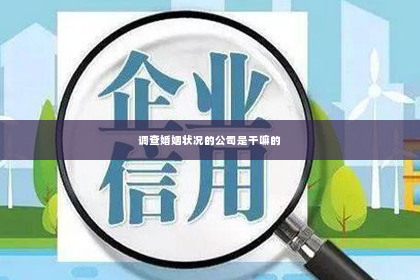调查婚姻状况的公司是干嘛的