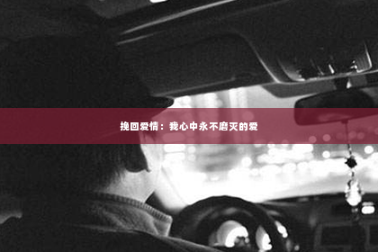 挽回爱情：我心中永不磨灭的爱