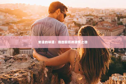 重逢的味道：挽回前任的激情之吻