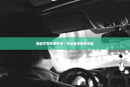 挽回学院情感咨询：专业解决情感问题