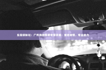 东莞侦探社：广州挽回情感专家攻略：重拾爱情，专业助力
