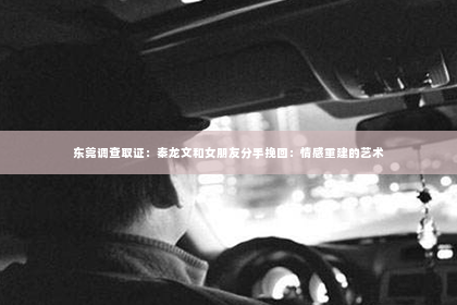 东莞调查取证：秦龙文和女朋友分手挽回：情感重建的艺术