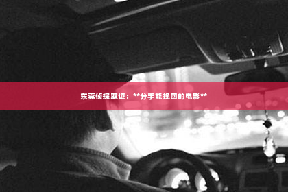 东莞侦探取证：**分手能挽回的电影**