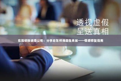 东莞侦探调查公司：分手后怎样挽回生肖鼠——情感修复指南