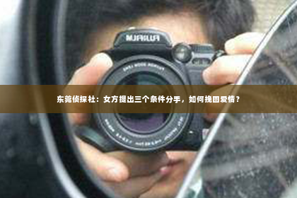 东莞侦探社：女方提出三个条件分手，如何挽回爱情？