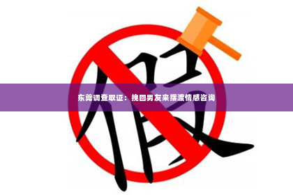 东莞调查取证：挽回男友来摆渡情感咨询