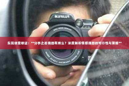 东莞调查取证：**分手之后挽回有用么？深度解析情感挽回的可行性与策略**