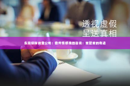 东莞侦探调查公司：儋州情感挽回咨询：重塑爱的奇迹