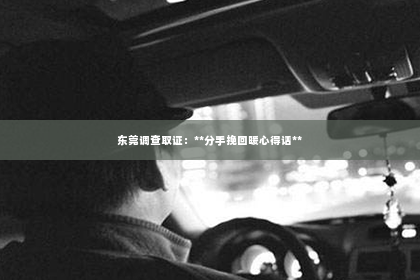 东莞调查取证：**分手挽回暖心得话**