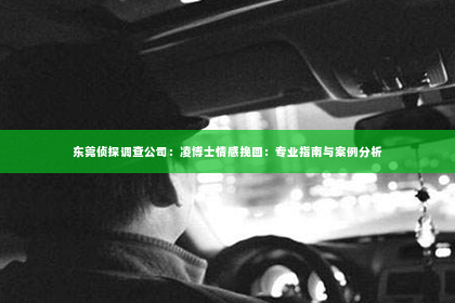 东莞侦探调查公司：凌博士情感挽回：专业指南与案例分析