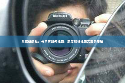 东莞侦探社：分手前如何挽回：深度解析挽回文案的奥秘