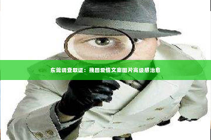 东莞调查取证：挽回爱情文案图片高级感治愈
