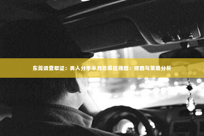 东莞调查取证：男人分手半月后疯狂挽回：原因与策略分析