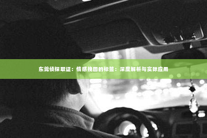 东莞侦探取证：情感挽回的标签：深度解析与实际应用
