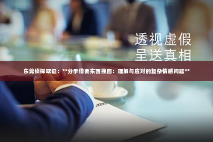东莞侦探取证：**分手借要东西挽回：理解与应对的复杂情感问题**