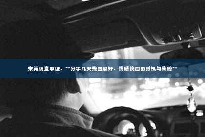 东莞调查取证：**分手几天挽回最好：情感挽回的时机与策略**