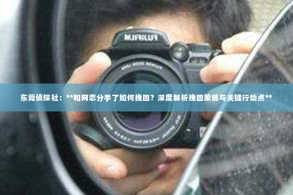 东莞侦探社：**和网恋分手了如何挽回？深度解析挽回策略与关键行动点**